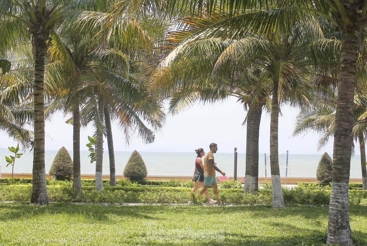 Du lich Quy Nhon,  Du lich Da Nang anh 3