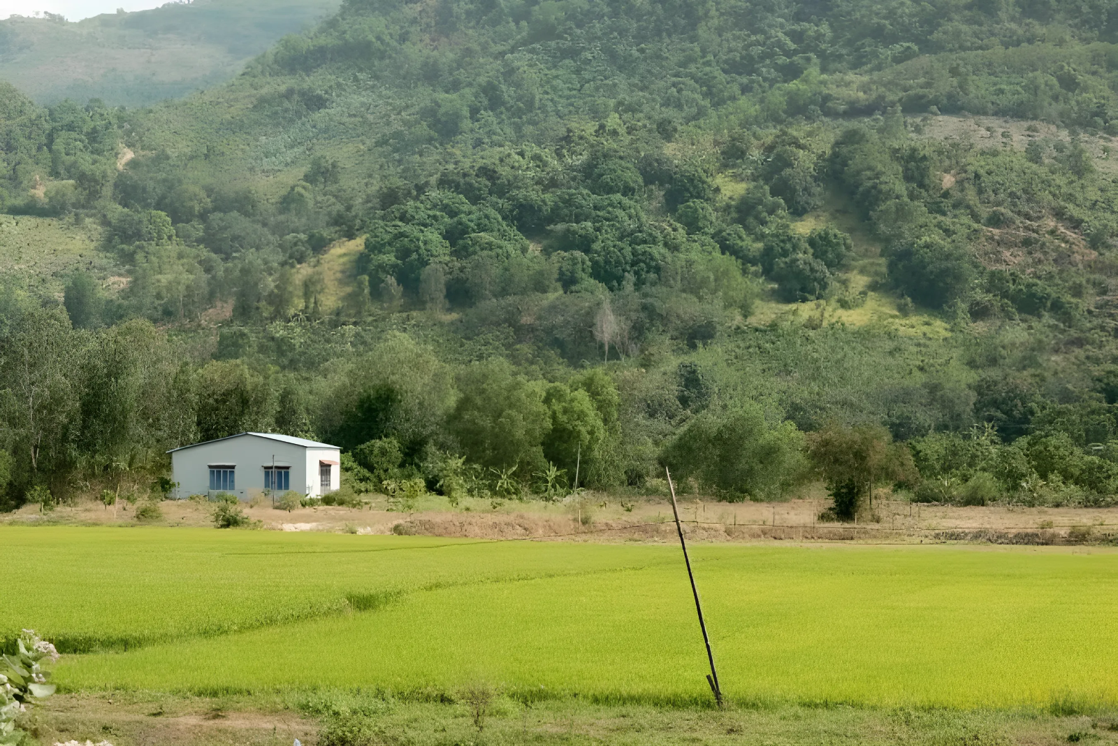 Du lich Phan Thiet,  Du lich Cam Ranh anh 5