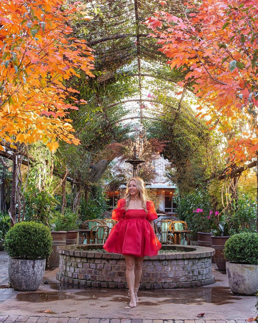 The Grounds of Alexandria ảnh 23 The Grounds of Alexandria anh 23