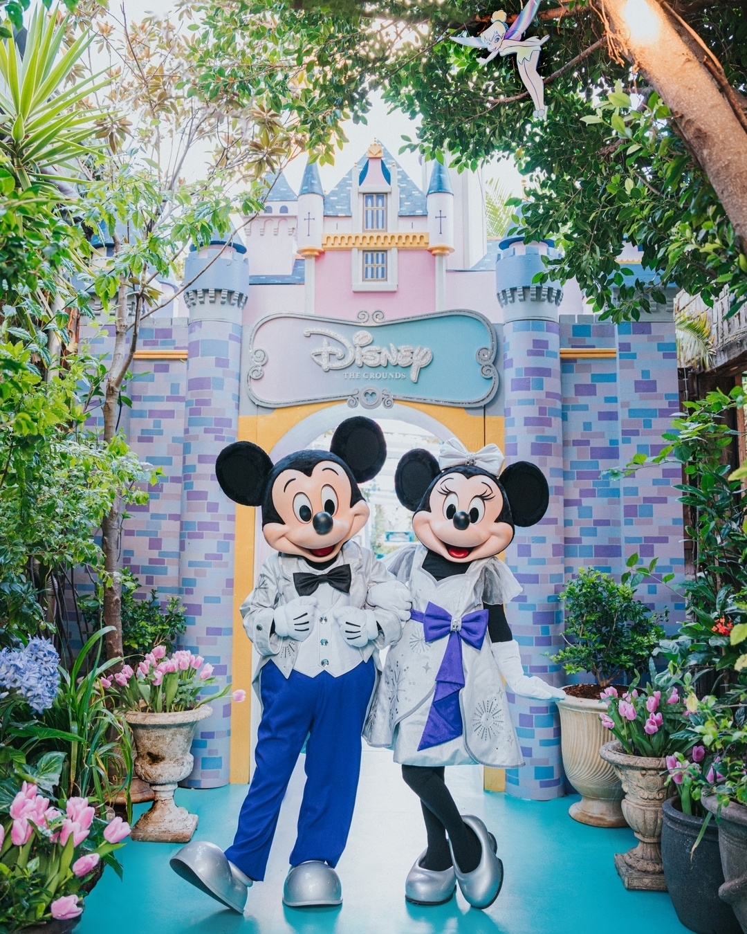 The Grounds of Alexandria ảnh 20 The Grounds of Alexandria anh 20