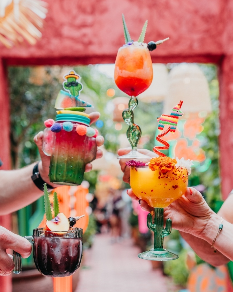 The Grounds of Alexandria ảnh 16 The Grounds of Alexandria anh 16