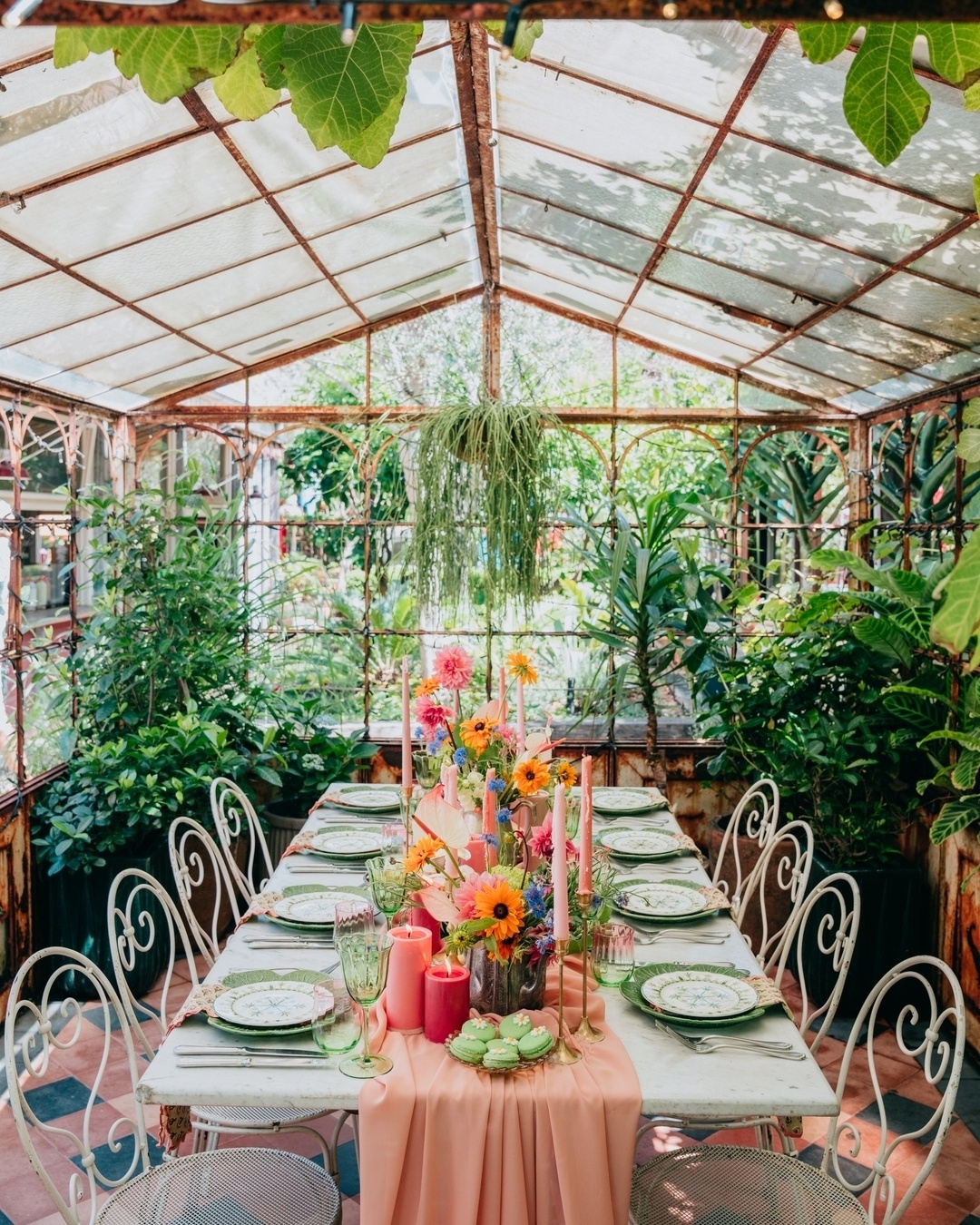 The Grounds of Alexandria ảnh 8 The Grounds of Alexandria anh 8