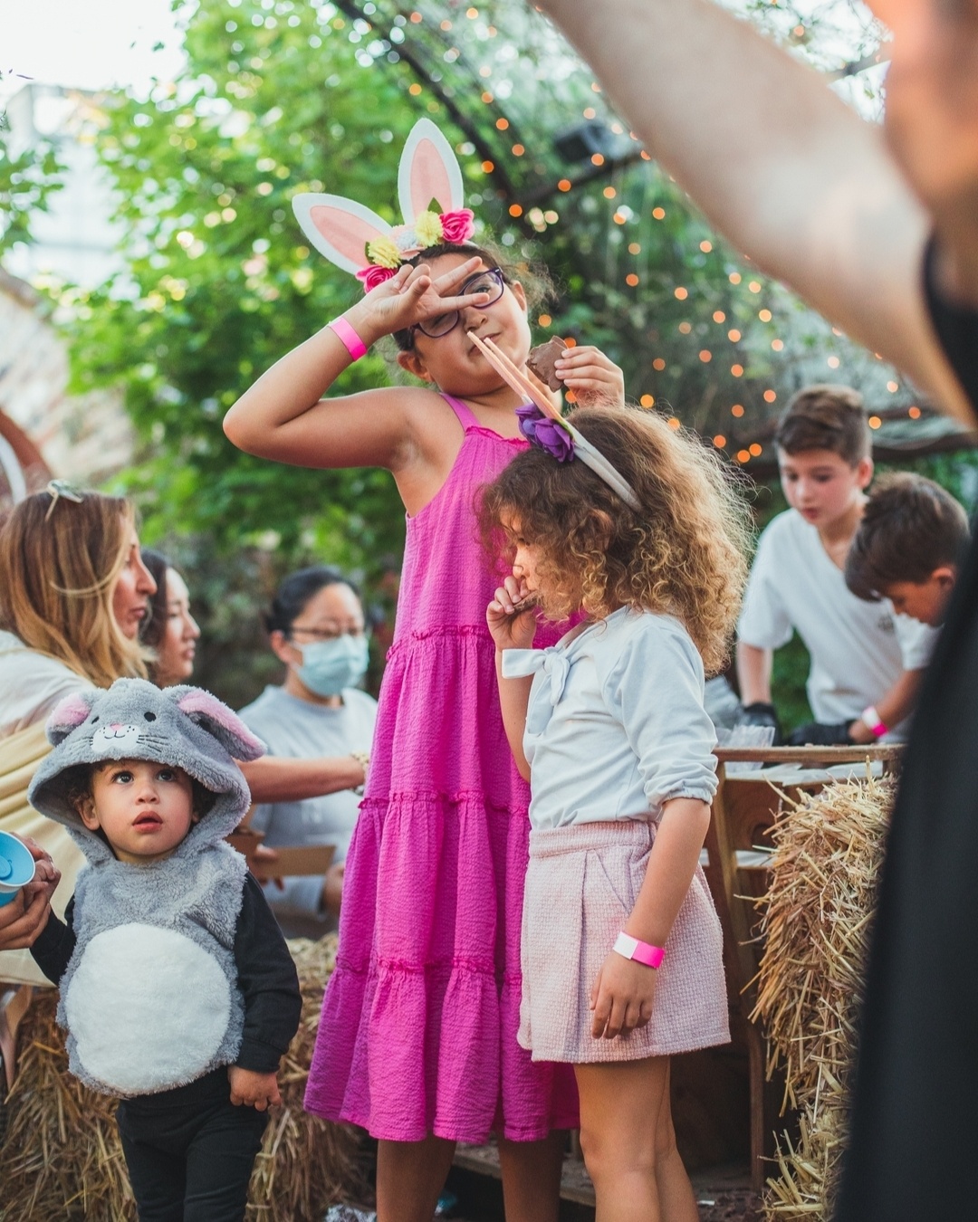 The Grounds of Alexandria ảnh 19 The Grounds of Alexandria anh 19