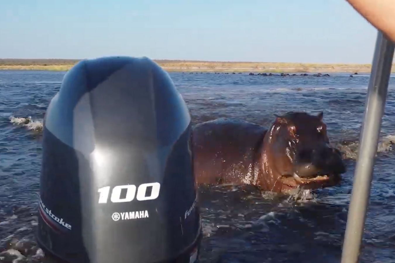 Ha ma truy duoi, can dong co thuyen cua du khach hinh anh
