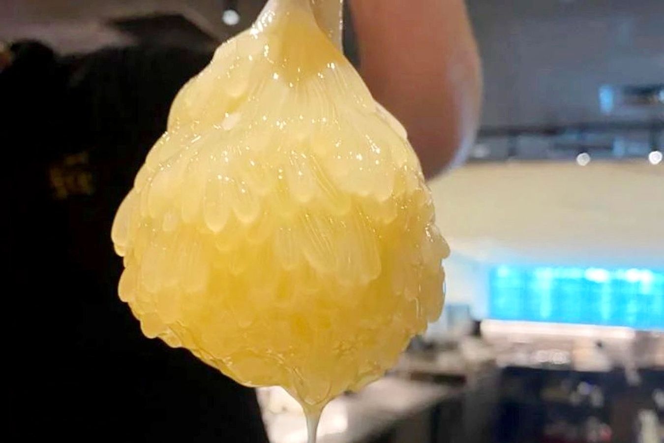 Tranh cai nha hang phuc vu trung bach tuoc song o Singapore hinh anh