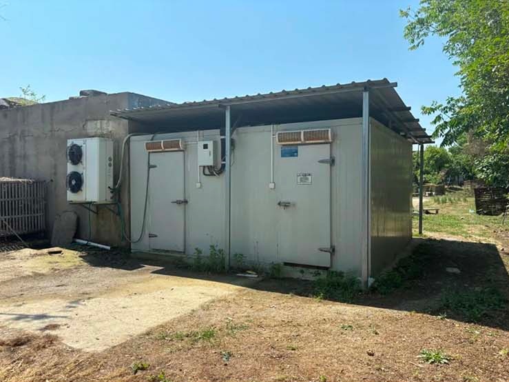 Dong vat hoang da,  Cong vien Fuyang anh 3