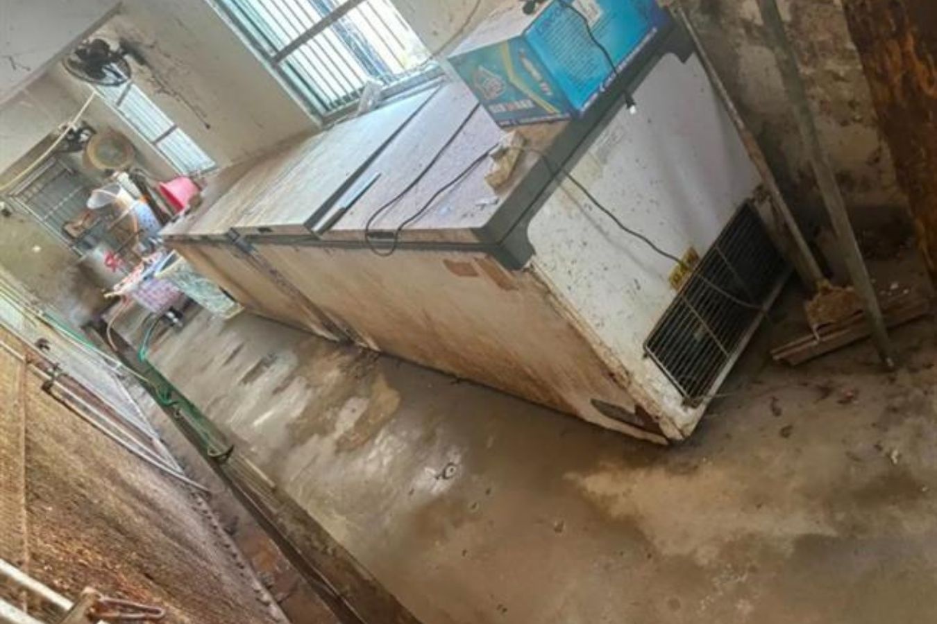 Xac ho trong tu lanh tai cong vien Trung Quoc hinh anh