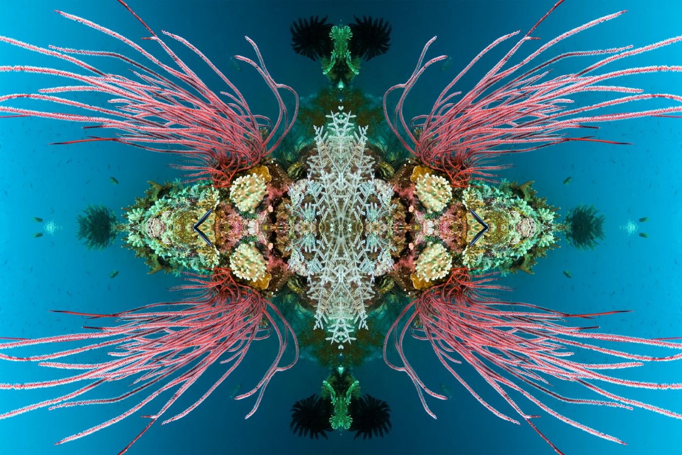 Ve dep san ho anh 12