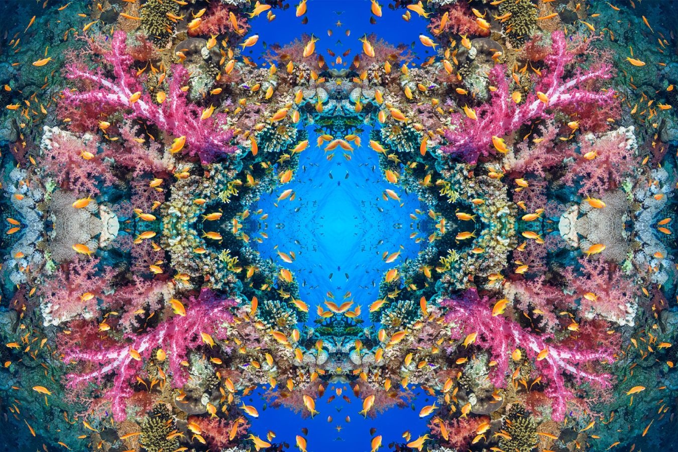 Ve dep san ho anh 10