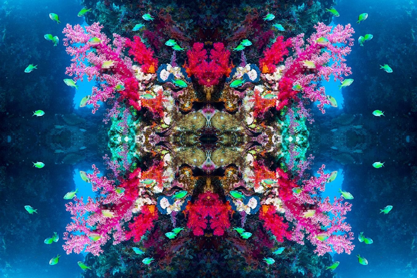 Ve dep san ho anh 11