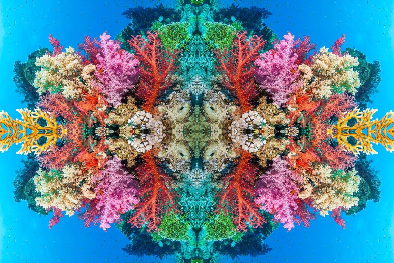 Goc nhin 'ao dieu' ve san ho hinh anh