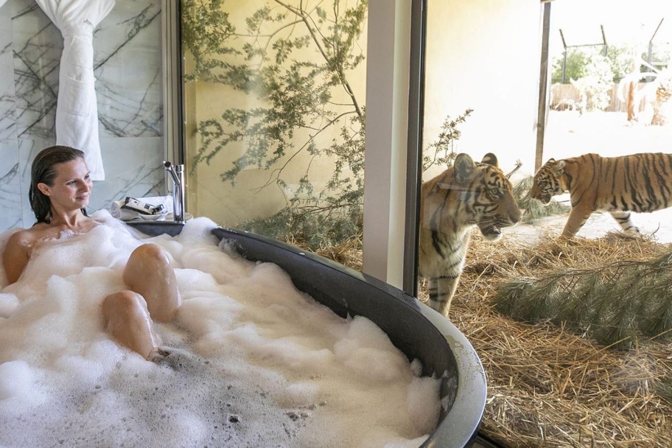 Trai nghiem ngu gan ho, su tu tai khu nghi duong o Australia hinh anh