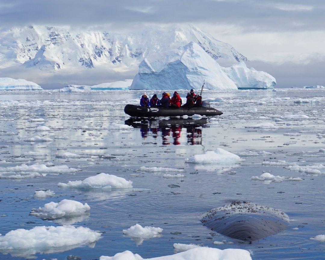 Du thuyền The World ảnh 14 Du thuyen The World anh 14