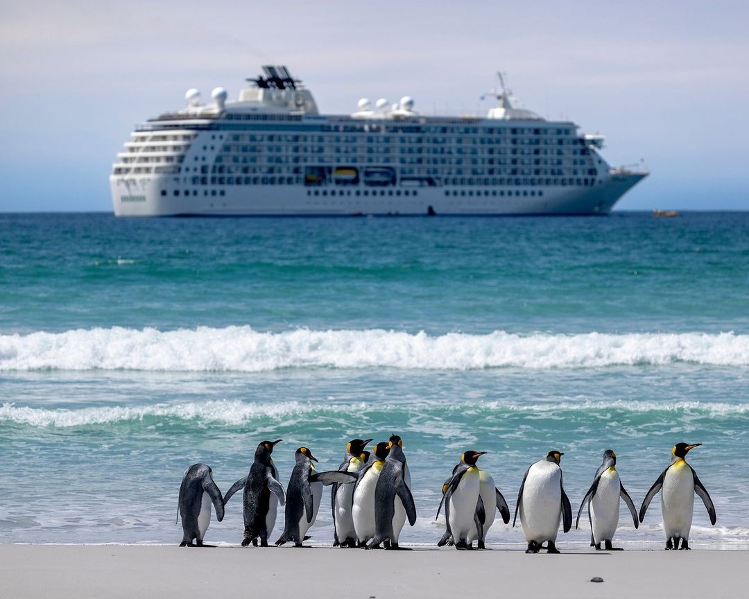 Du thuyền The World ảnh 12 Du thuyen The World anh 12