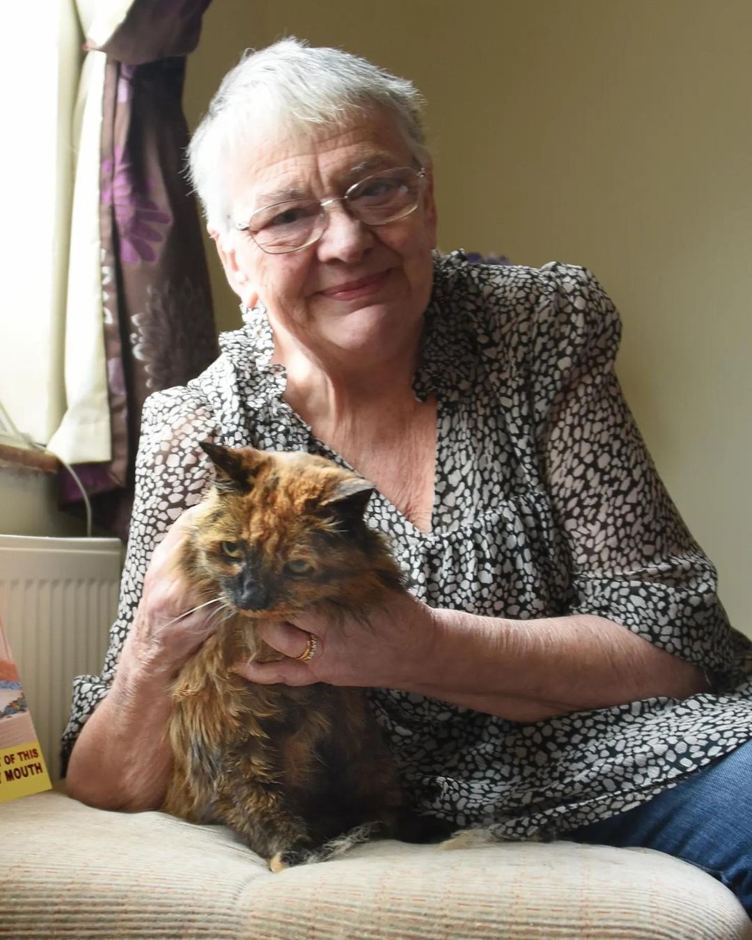 Meo gia nhat,  Meo long xu Rosie anh 2