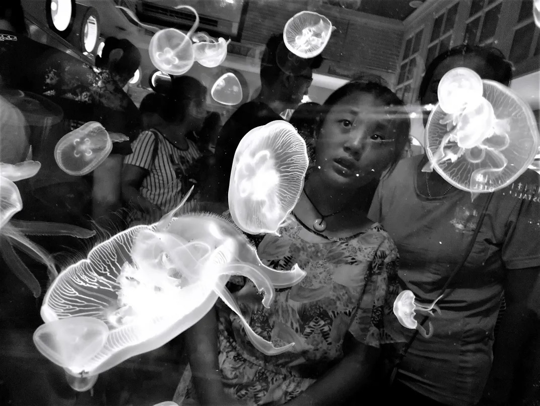 Hinh anh sua hiem,  Khoanh khac ky la anh 6