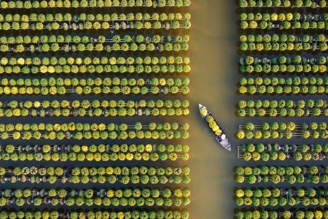 Viet Nam thang lon cuoc thi nhiep anh toan canh 2024 hinh anh