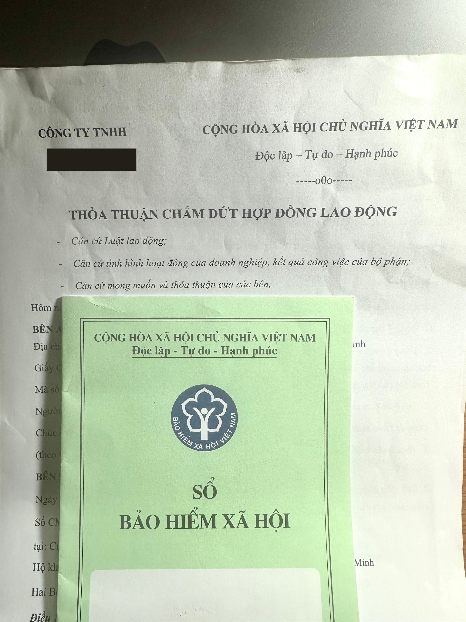 Layoff sau Tet,  Nghi viec sau tet anh 1