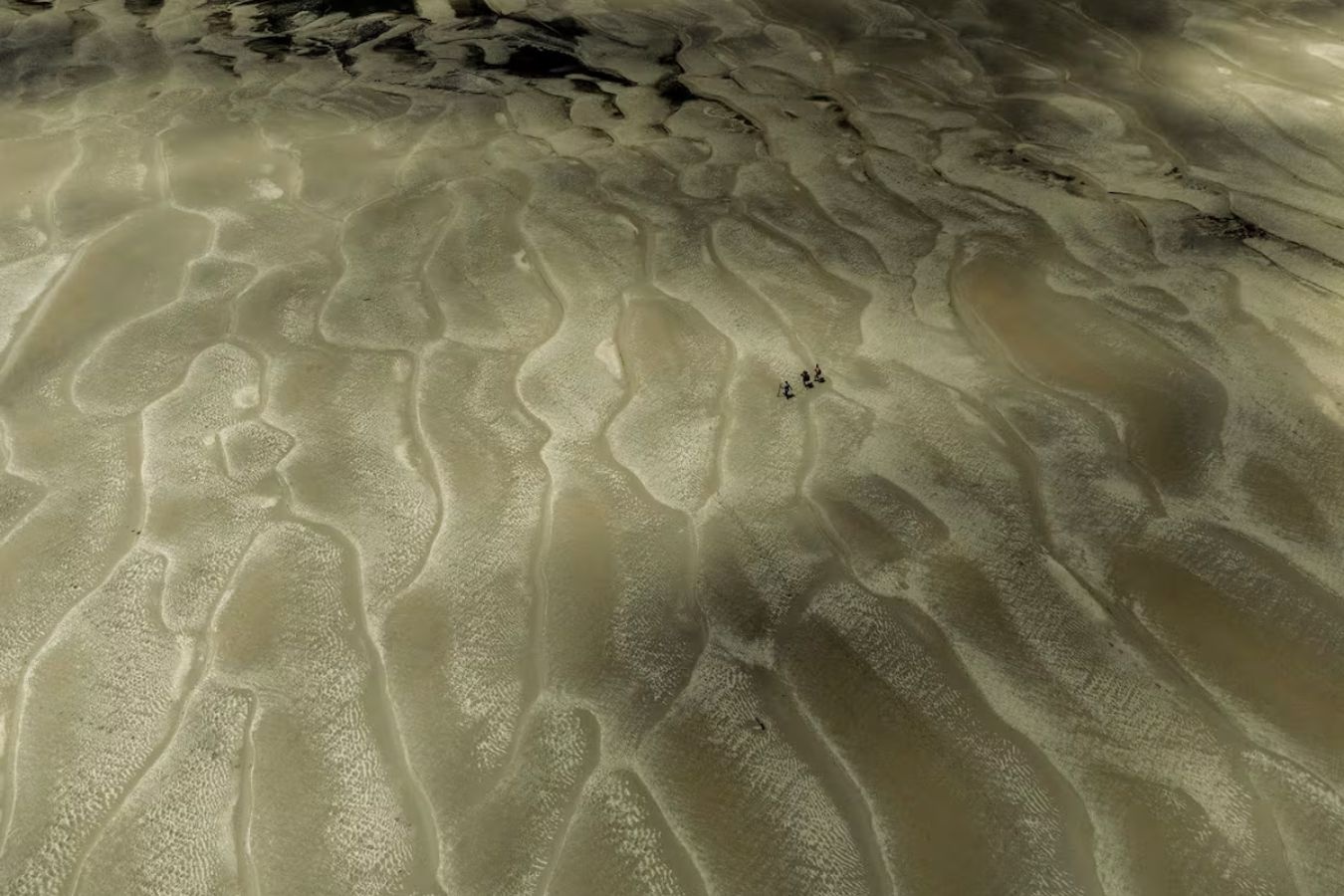 Anh 'song Amazon hoa sa mac' gay sung sot hinh anh