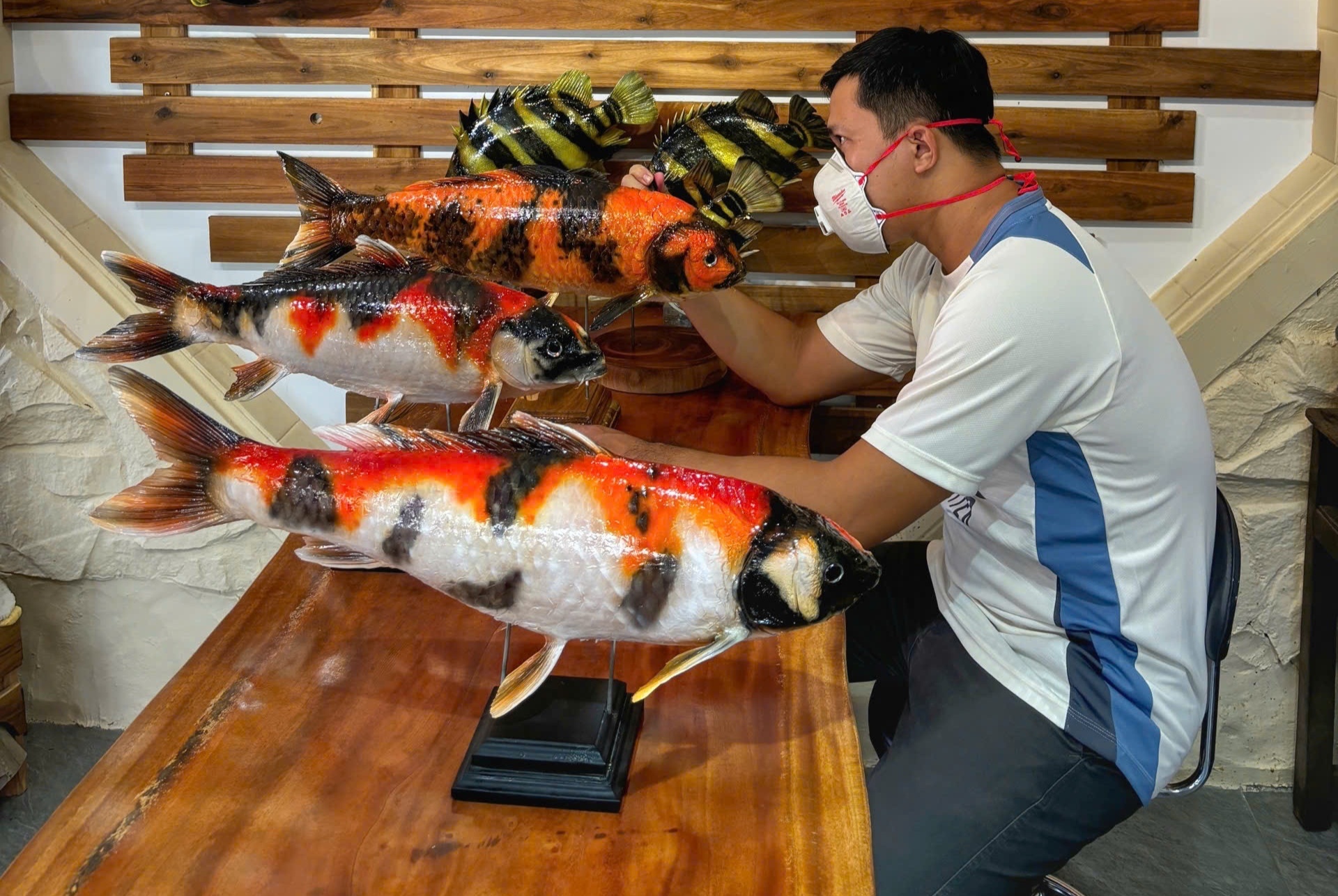 Nhung con ca 'khong bao gio chet' cua chang trai Lam Dong hinh anh