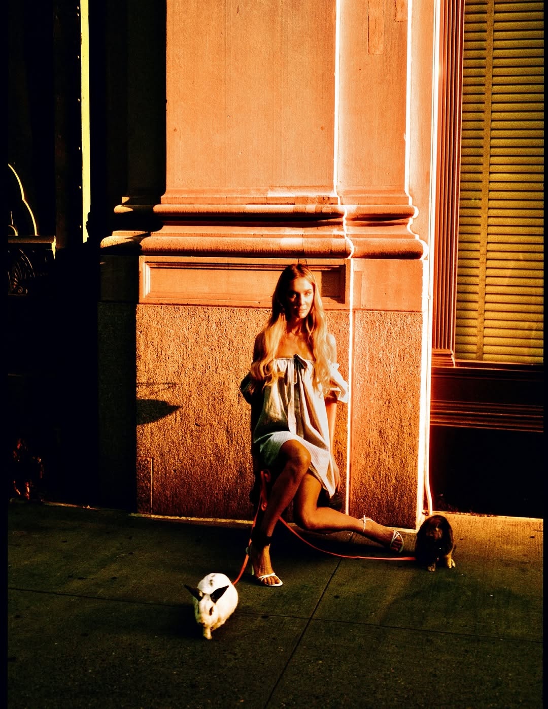Anna Delvey Sorokin de doa anh 1