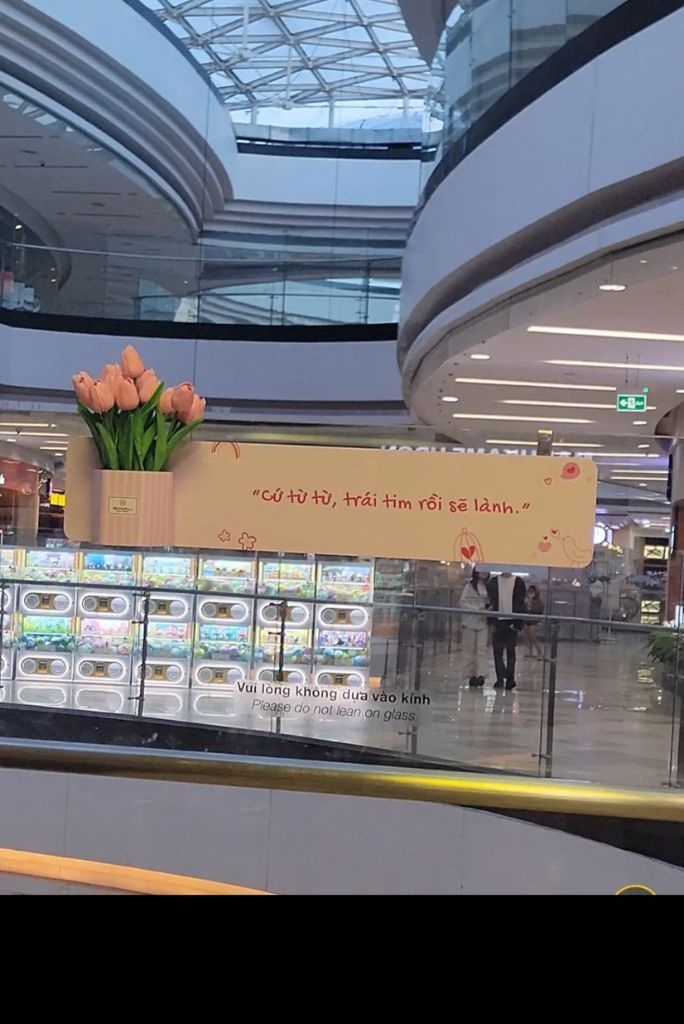 thong diep Van Hanh Mall anh 2