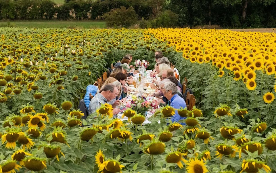 buc anh gay sung sot anh 1