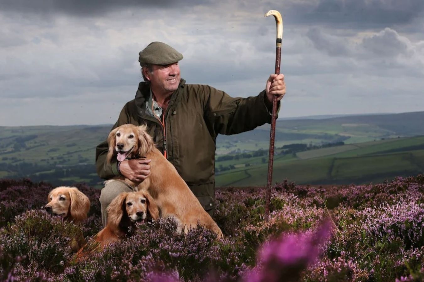 buc anh gay sung sot anh 5