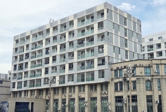 Nhung thanh nien Han tu choi duoc 'cuu' khoi o lua dao o Campuchia hinh anh