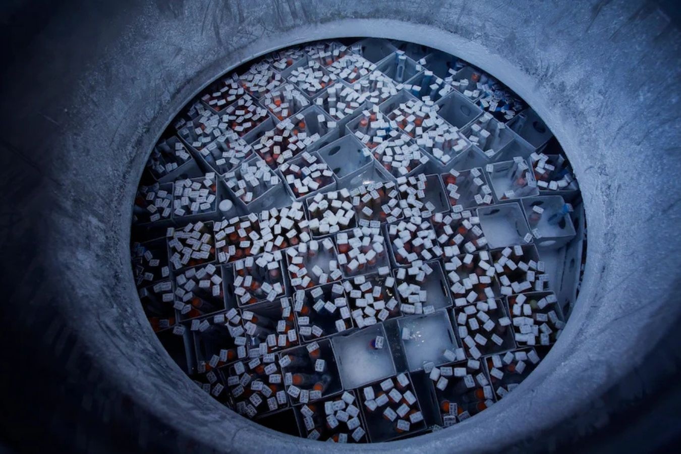 Goc khuat cua 'cho den tinh trung' hinh anh