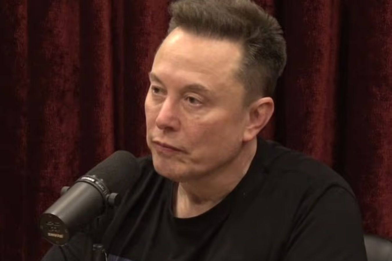 Elon Musk tieu tuy hinh anh