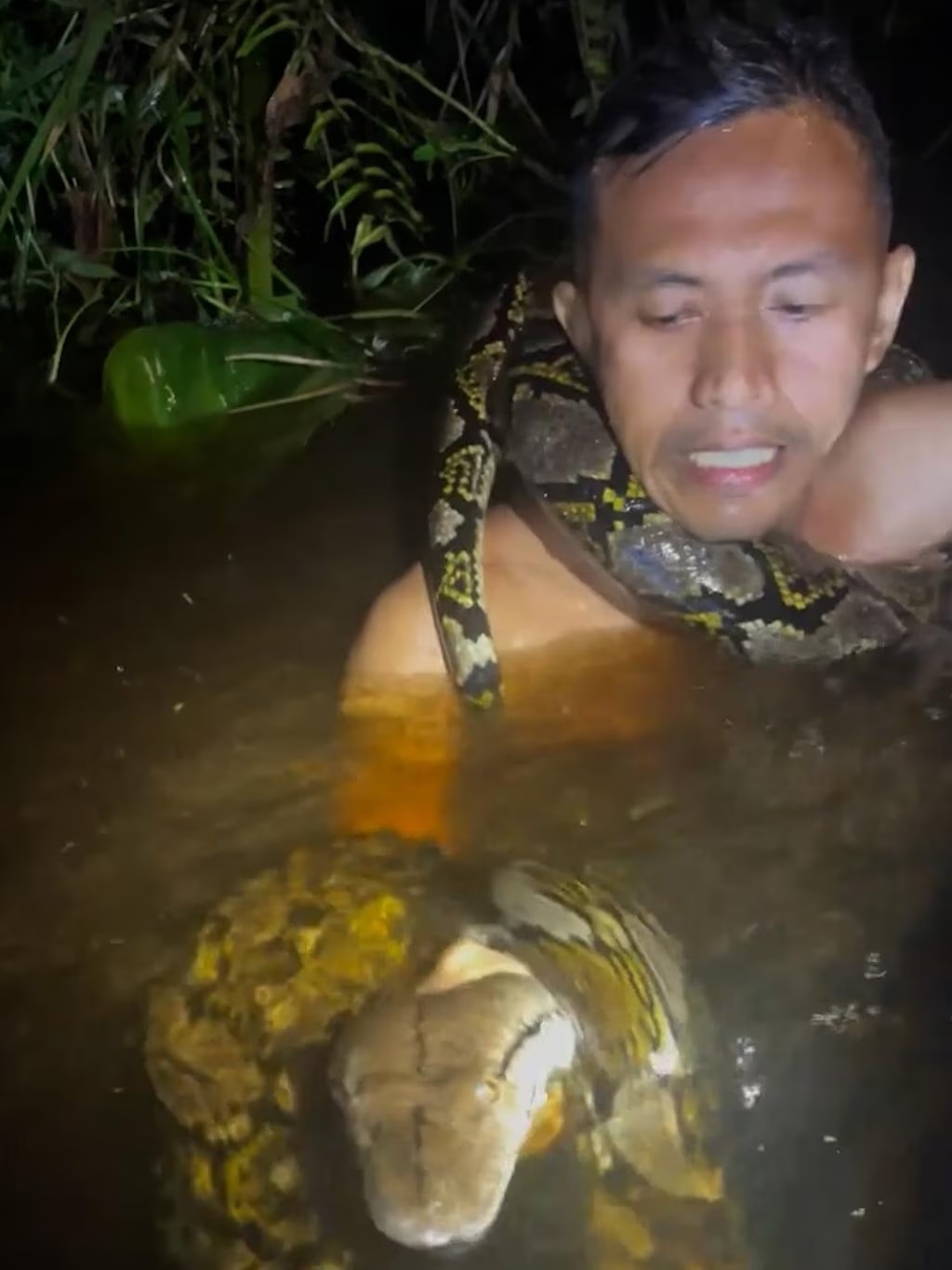 tran khong lo keo nguoi anh 1