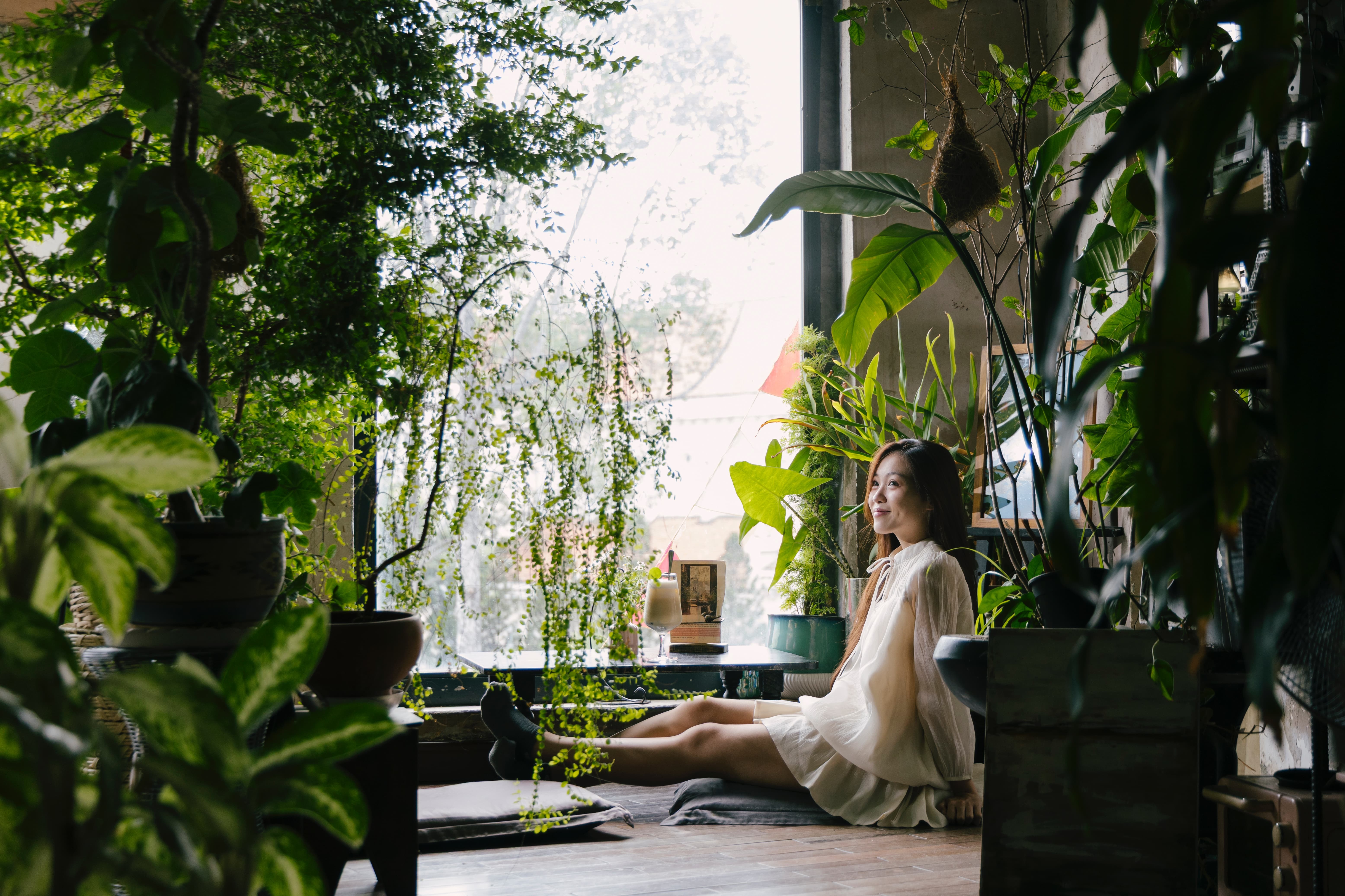 workshop o quan ca phe anh 1