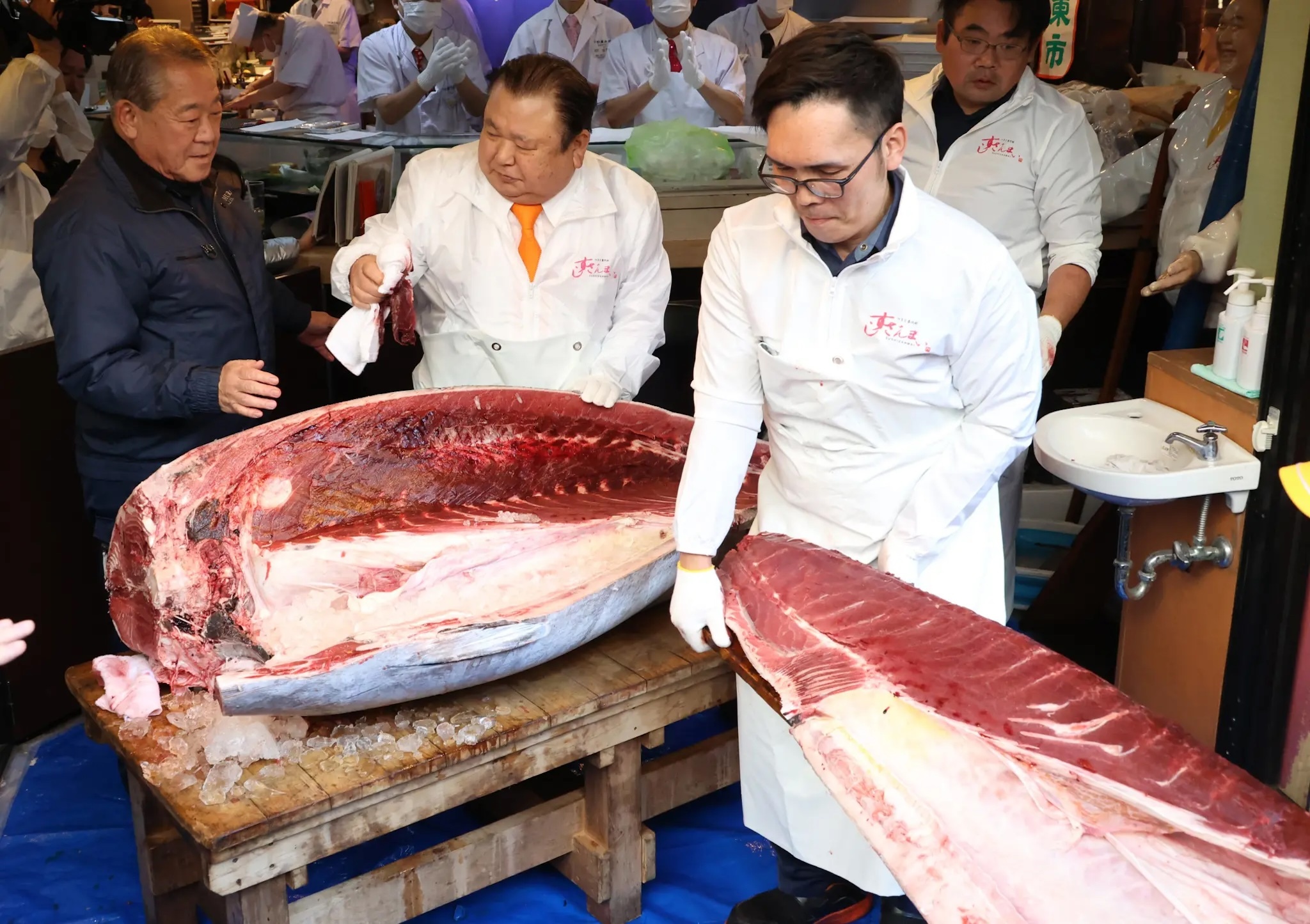 ca ngu vay xanh anh 3