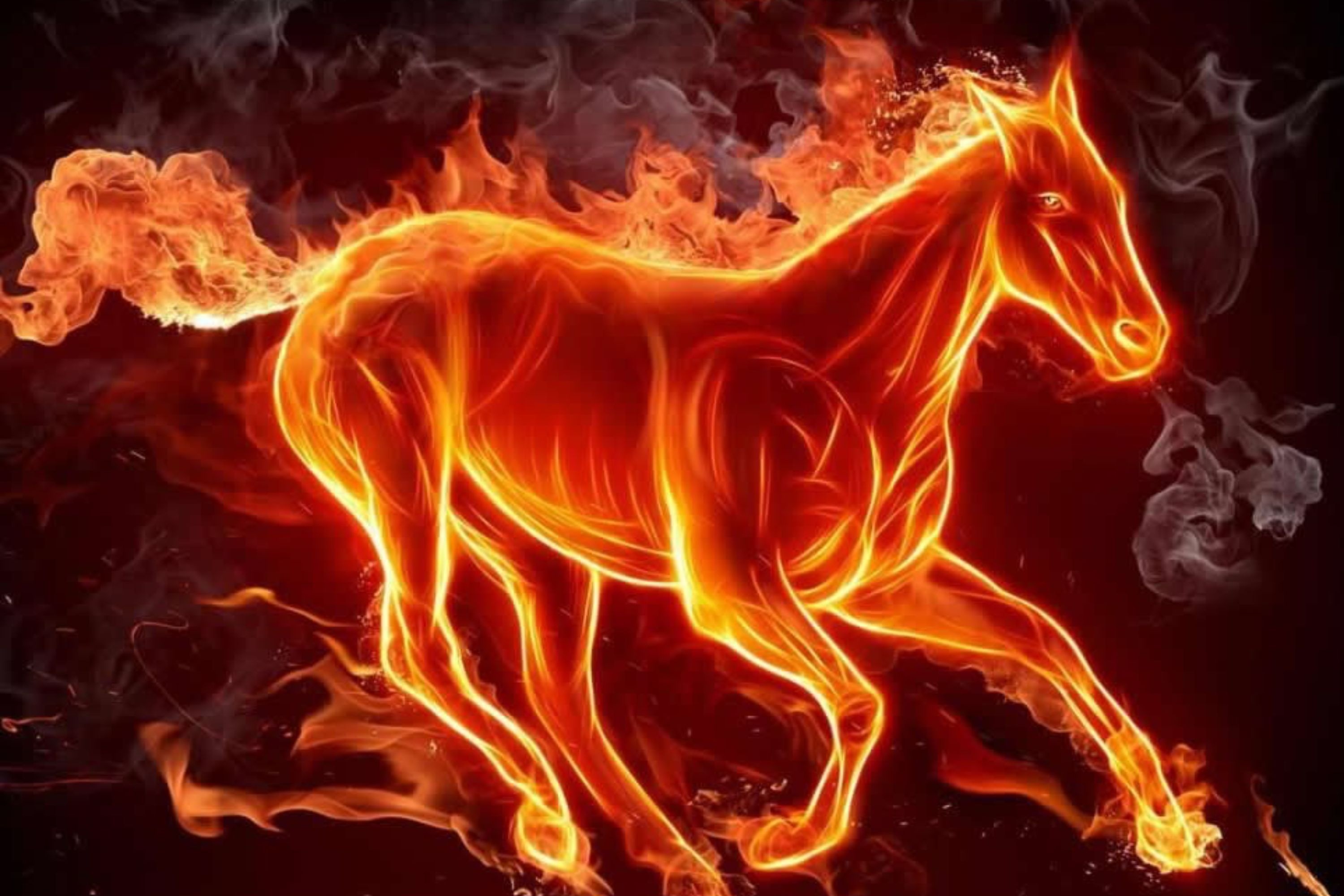 Du bao nhung bien dong trong nam tuoi Binh Ngo 2026 hinh anh