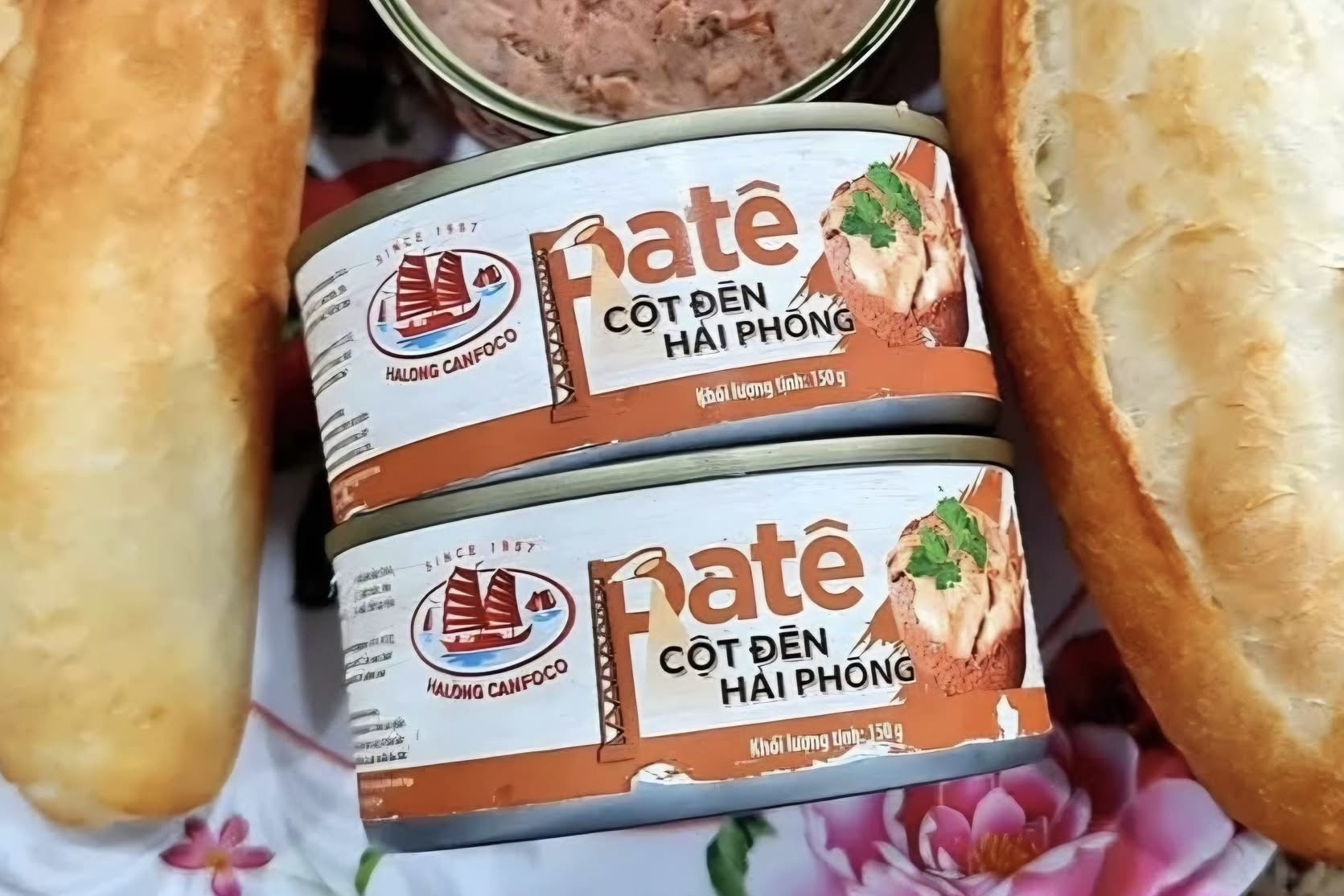 Dong thai kho hieu cua Do hop Ha Long hinh anh