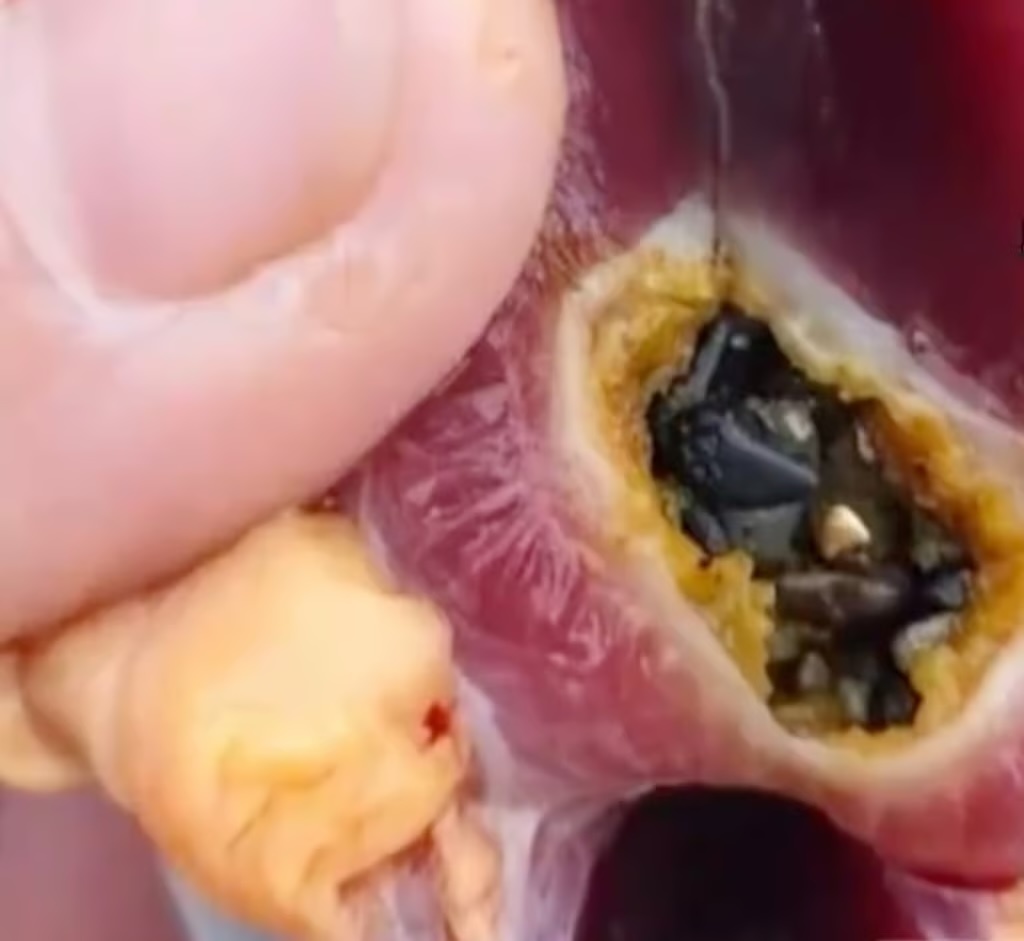 phat hien vang anh 1