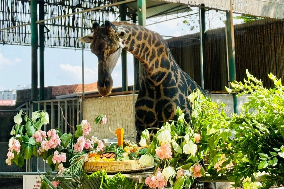 Thao Cam Vien lam 'dam cuoi' cho huou cao co Thao Em dip 30/4 hinh anh