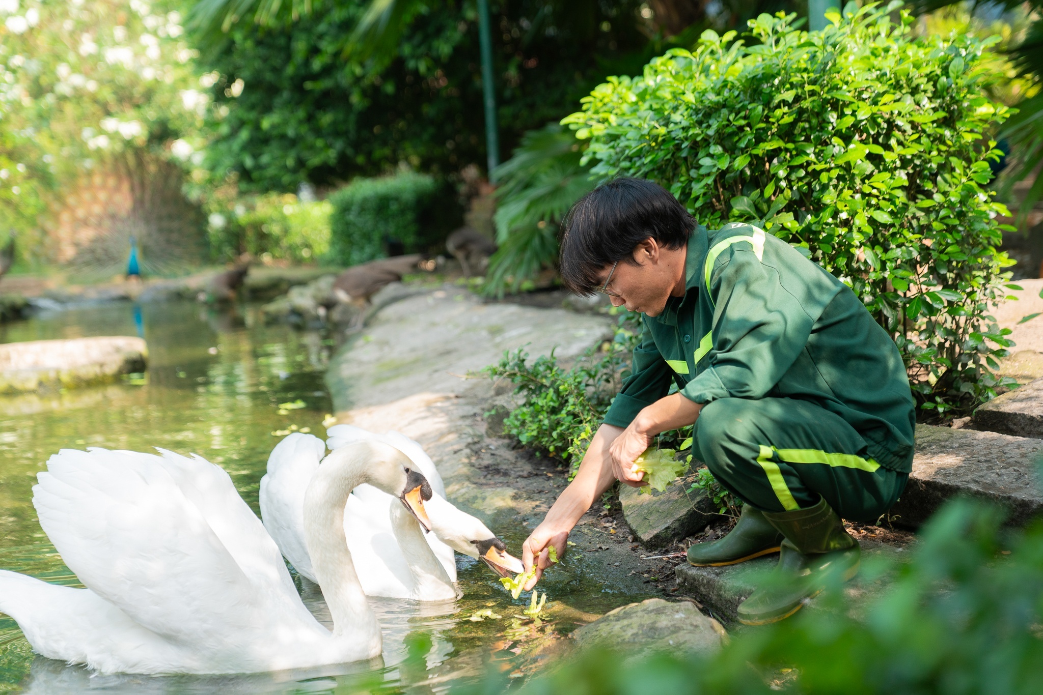 Bai dang cua Thao Cam Vien Sai Gon gay xot xa hinh anh