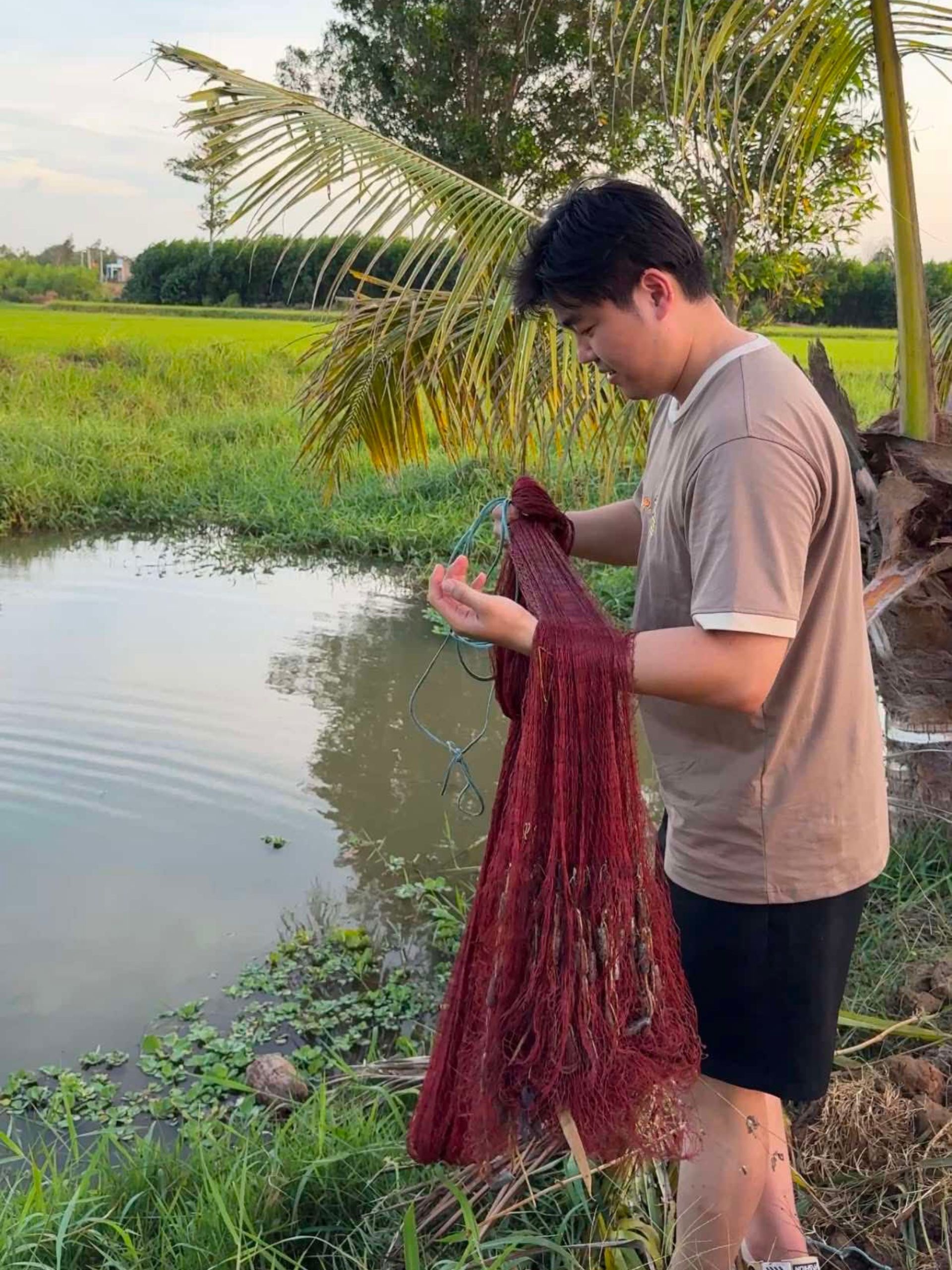 Hàn Quốc ảnh 2 Han Quoc anh 2