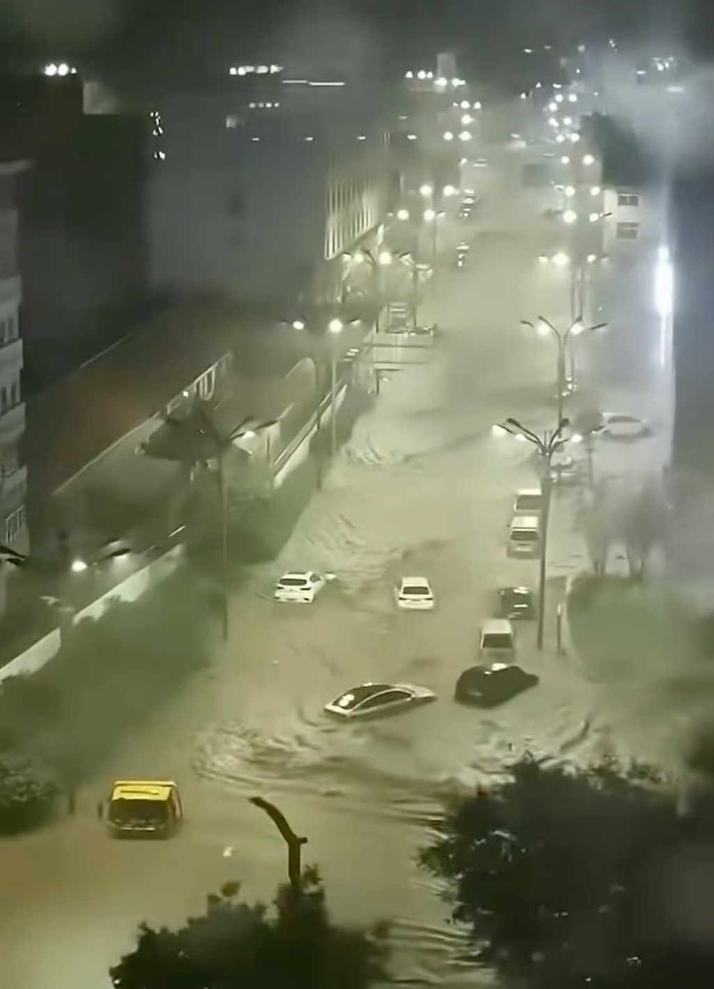 b&atilde;o Bavi ảnh 1
