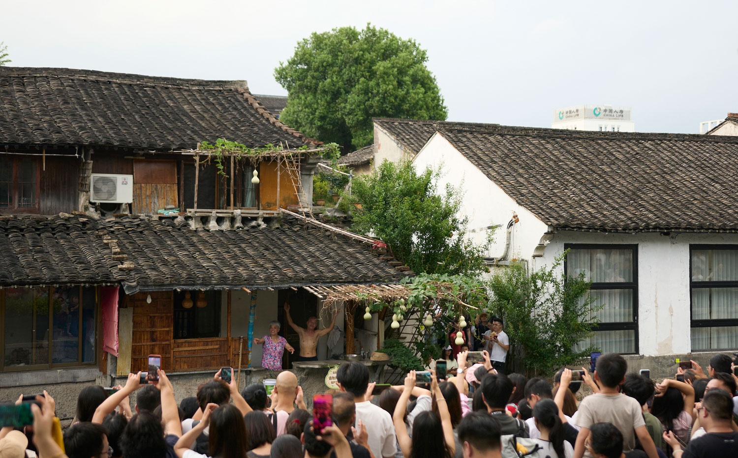 &Ocirc;ng nội Hồ L&ocirc; ảnh 1
