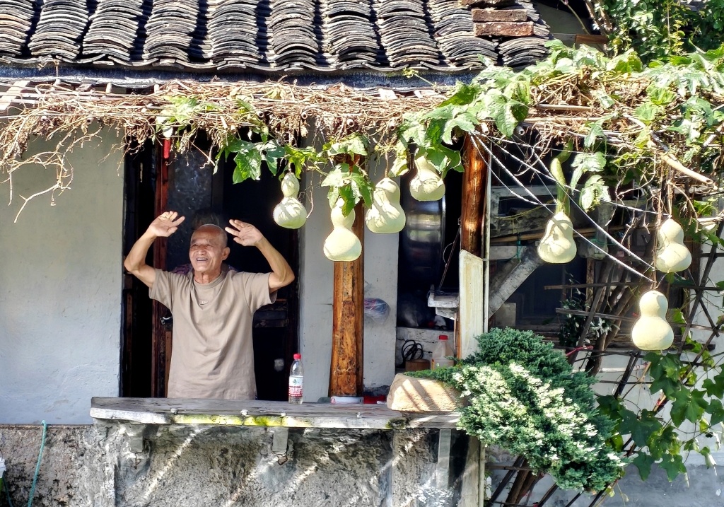Khách ùn ùn kéo đến, gia chủ chặt bỏ cây bầu nổi tiếng ở Trung Quốc