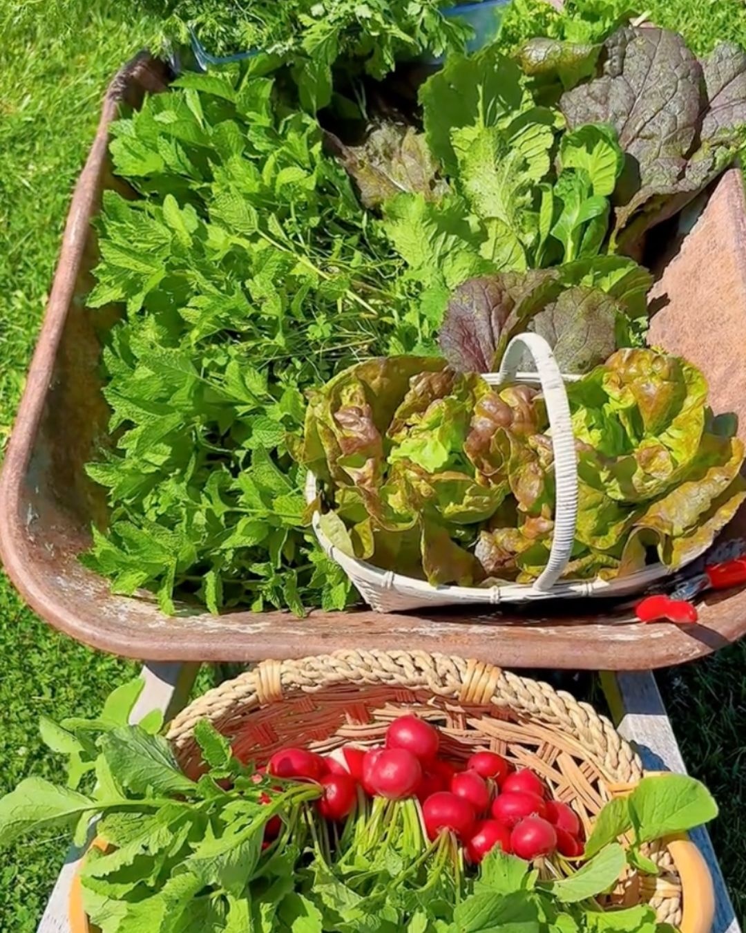 Mỹ ảnh 3 Mỹ ảnh 3