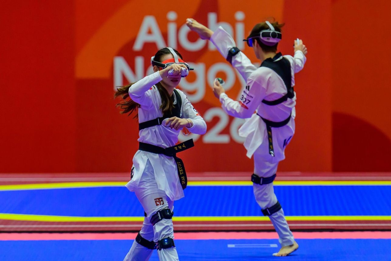 taekwondo thực tế ảo ảnh 3