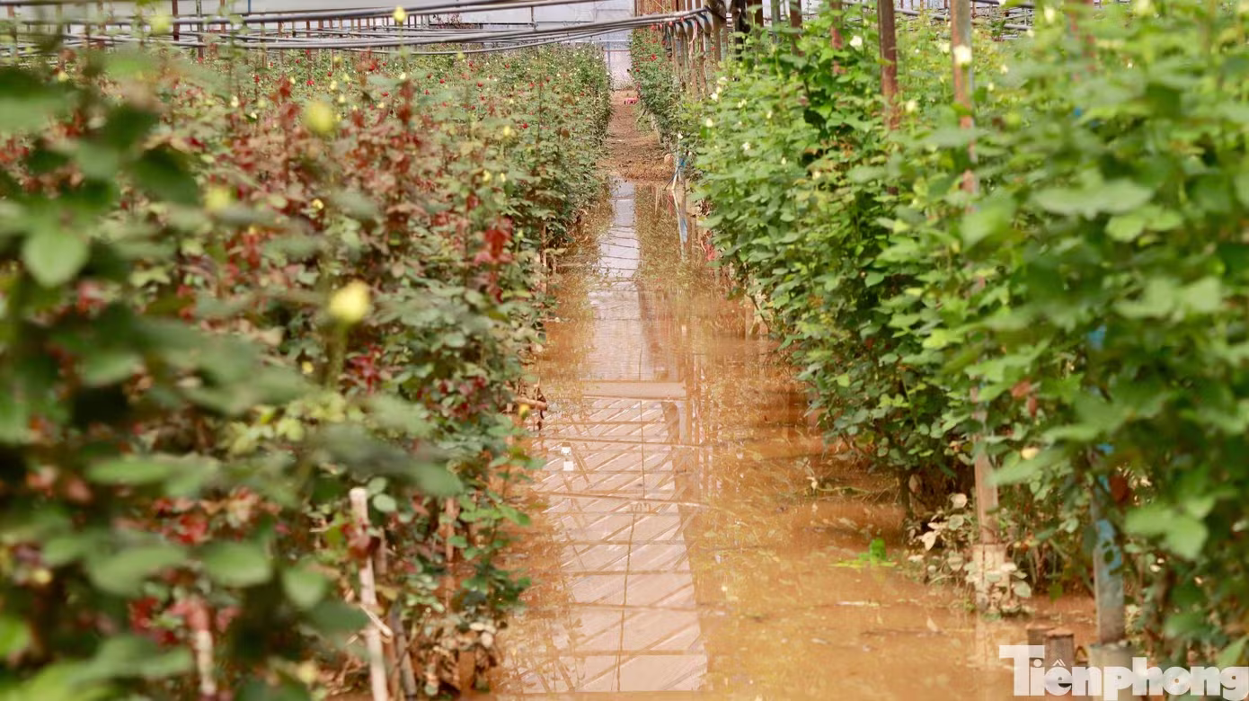 Đ&agrave; Lạt ảnh 3