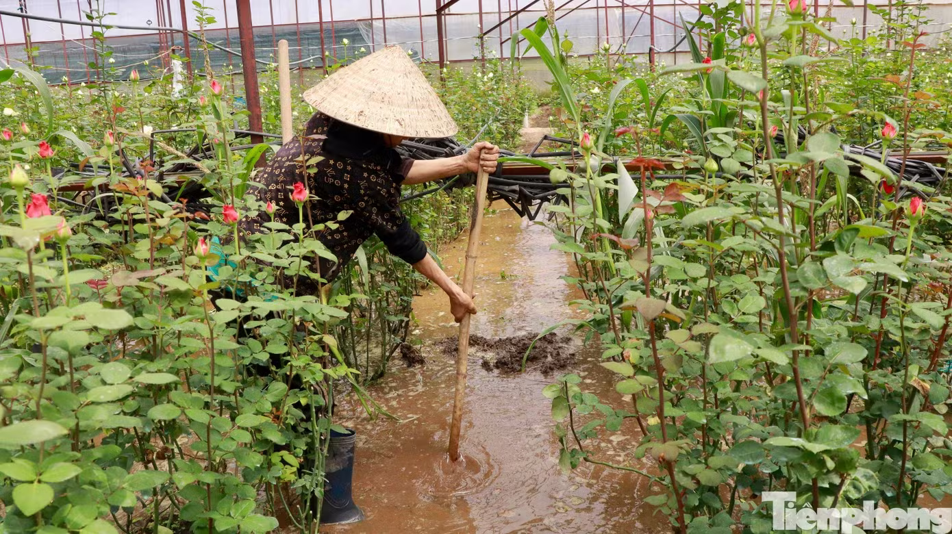Đ&agrave; Lạt ảnh 4