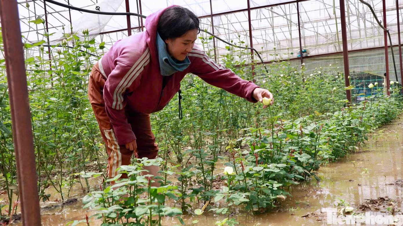 Đ&agrave; Lạt ảnh 1