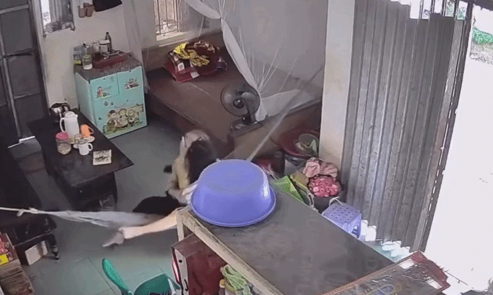 Bà nội khóc nấc, dỗ mãi không nín khi cháu gái bí mật về nhà sau 2 năm