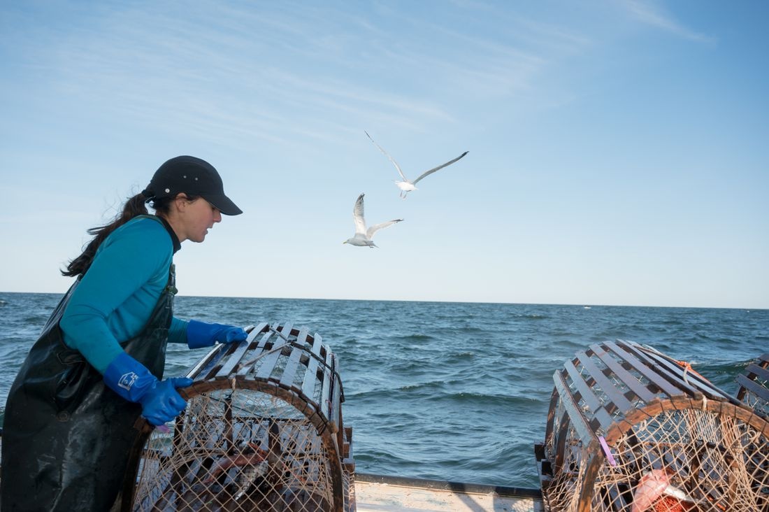 chien tranh thuong mai anh 1
